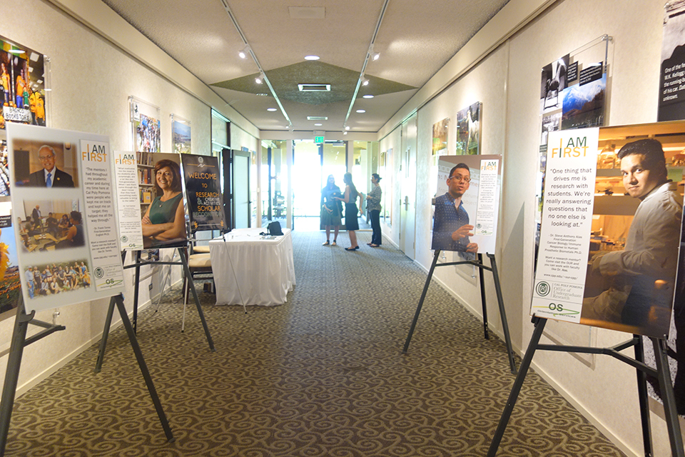 Poster presentations lined up in a hallway