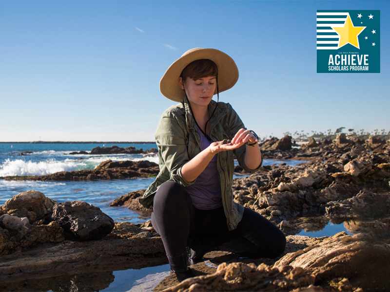 student crouched and examining items in their hand at the beach, with the ASP icon in the upper right hand corner