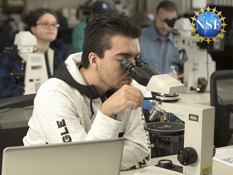 Student in classroom looking through microscope and lsamp logo on upper right hand corner