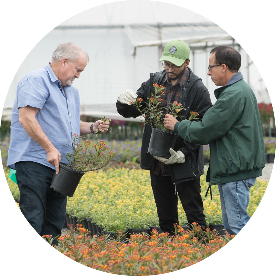 Three male faculty working in a garden.