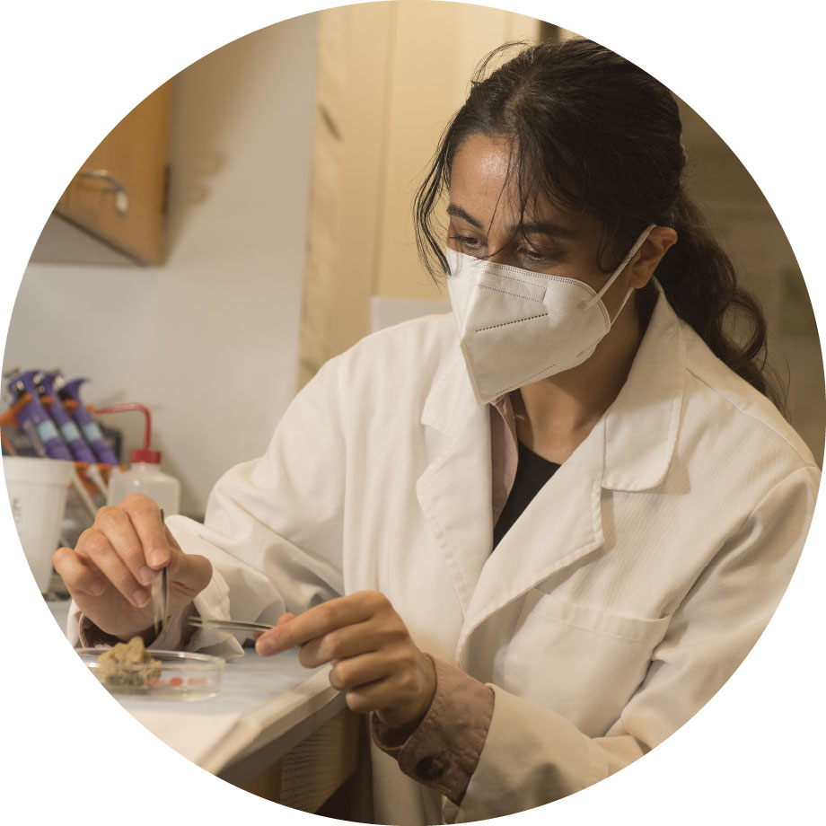 Female student working in a lab.