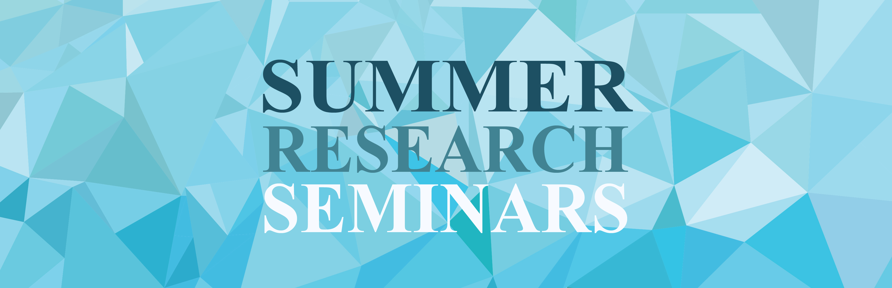 Summer Seminar Series on a blue triangle background