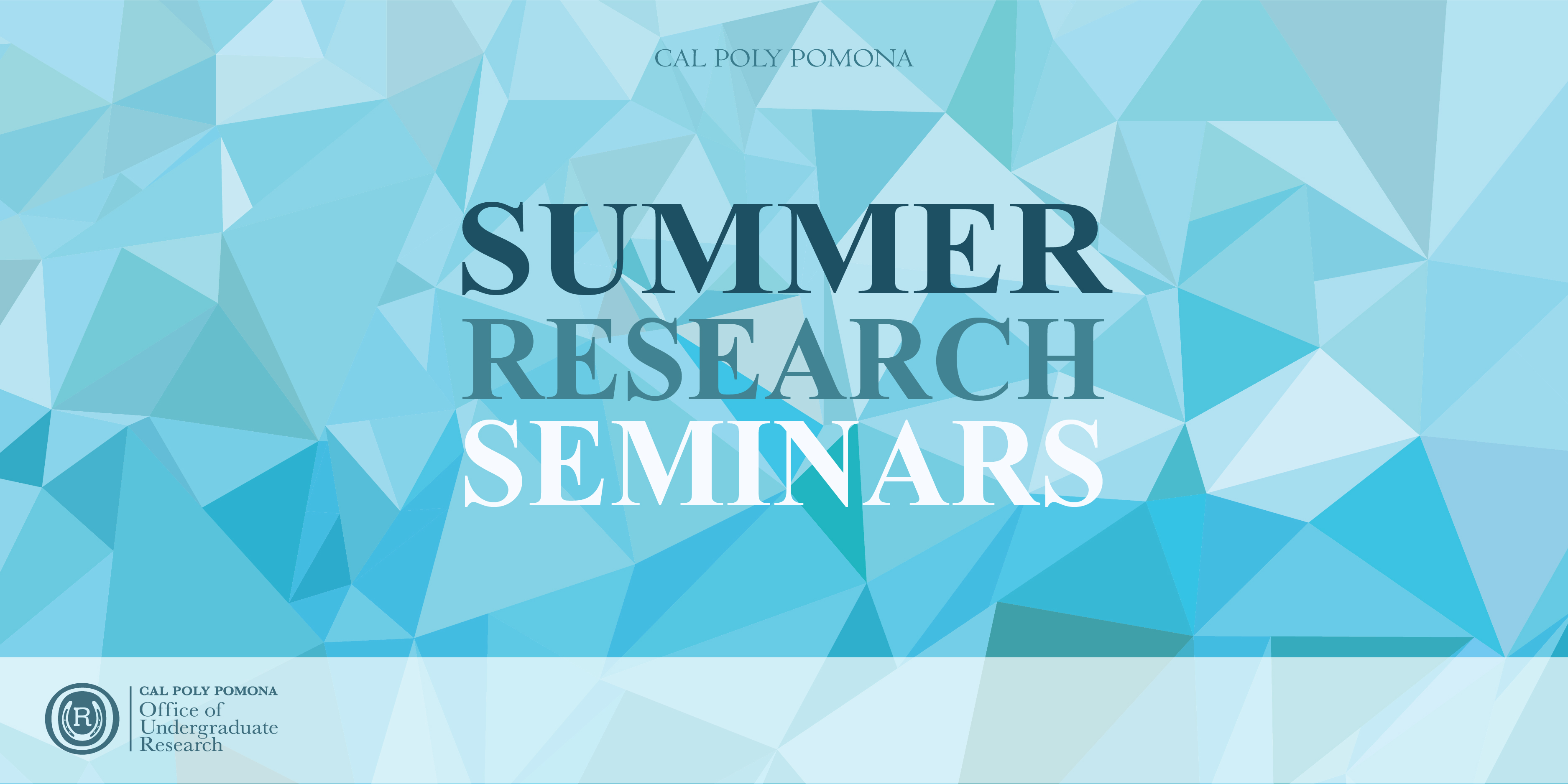 Summer Seminar Series banner with blue triangles as a background