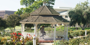 cpp rose garden gazebo