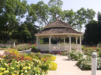 Rose garden gazebo