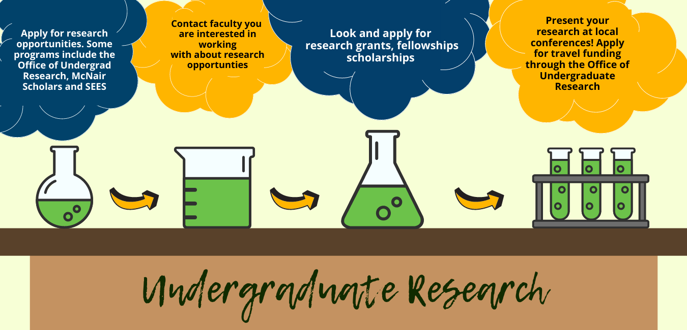 undergraduate research experiences impacts and opportunities