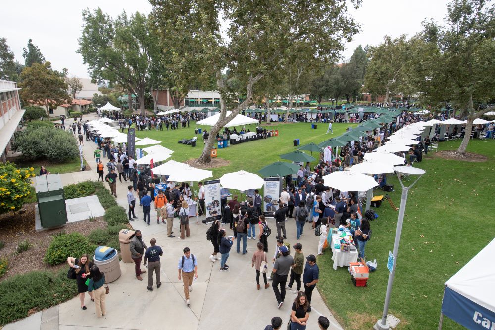 Photo of career fair