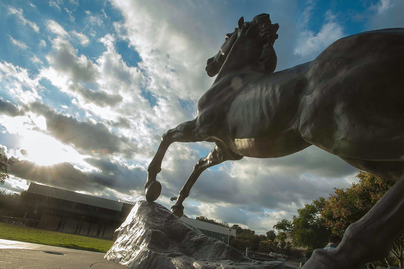 Statue of a horse in Bronco Commons