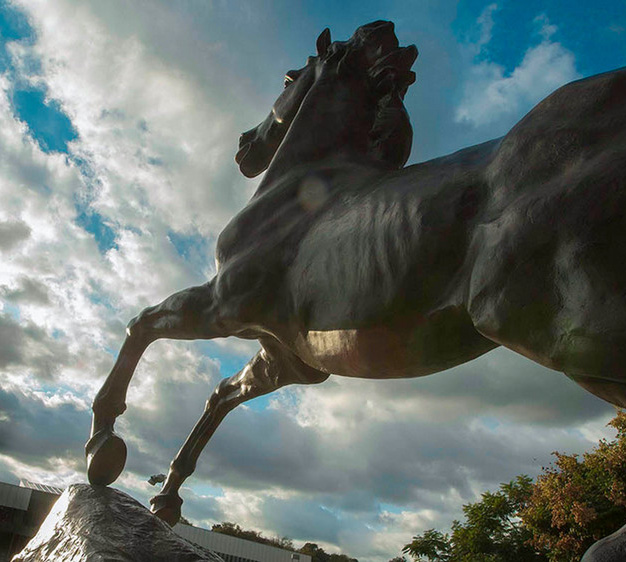 bronco statue