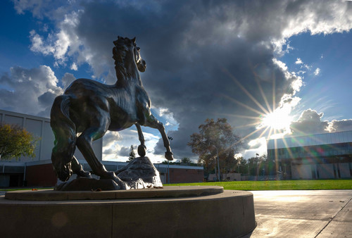 Bronco Statue