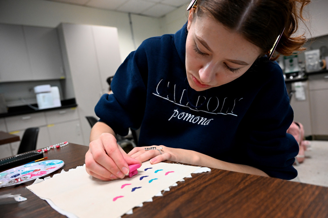 student designs a fabric