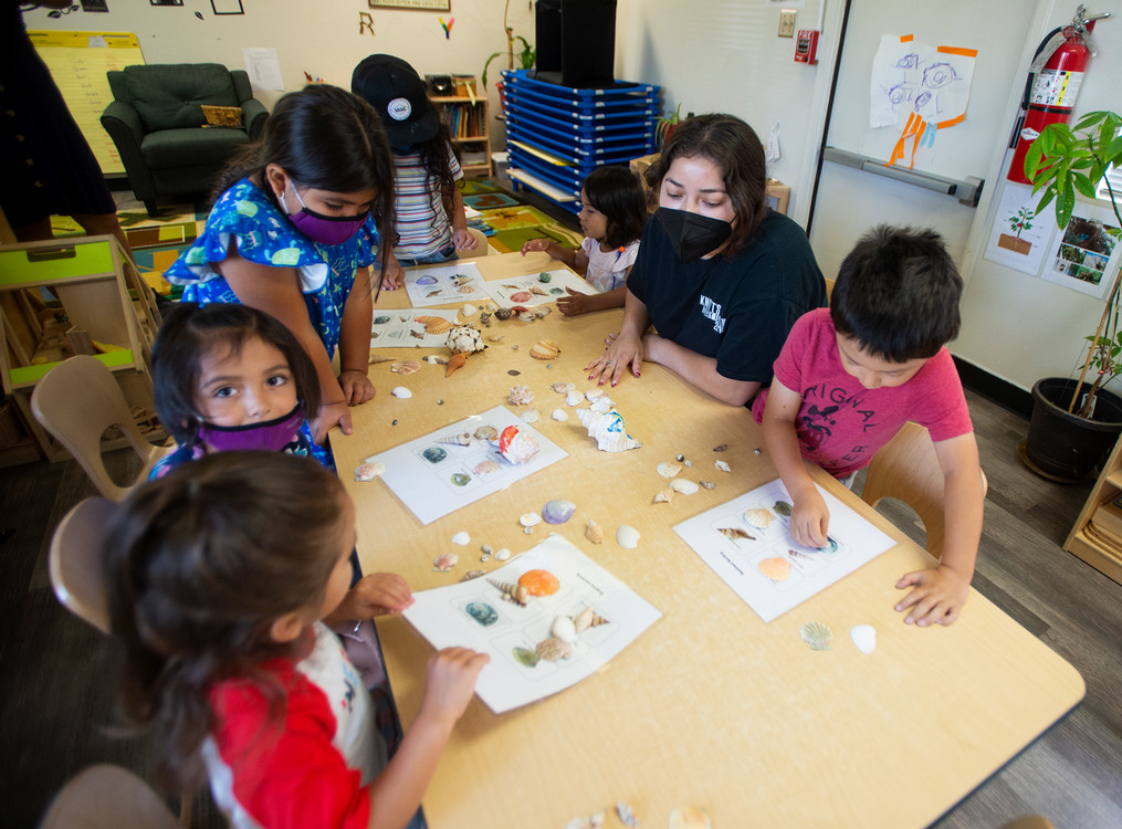 student teaches a group of students