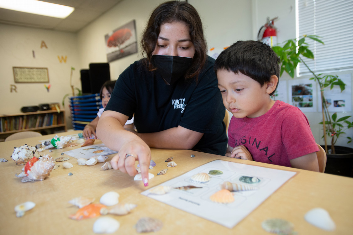 student teaching child seashells