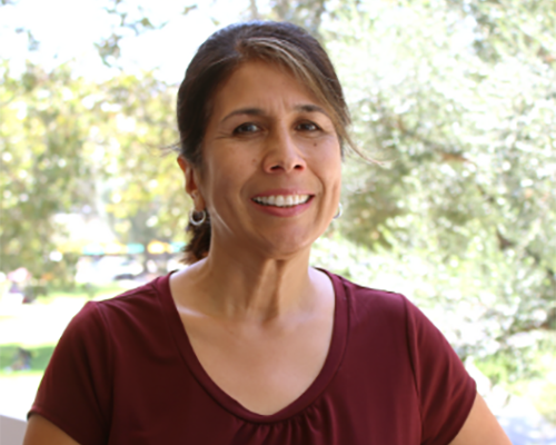 Professor Estela Godinez Ballón