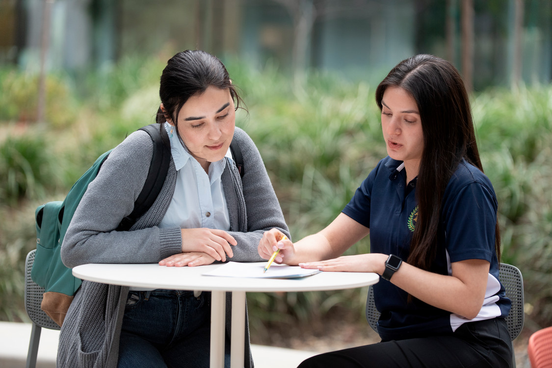 student getting advised