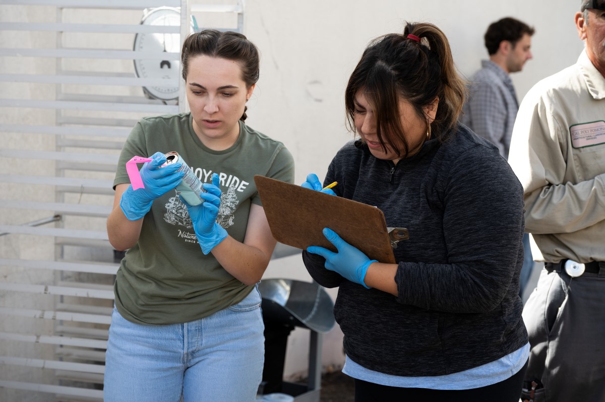 students doing some sample inspection
