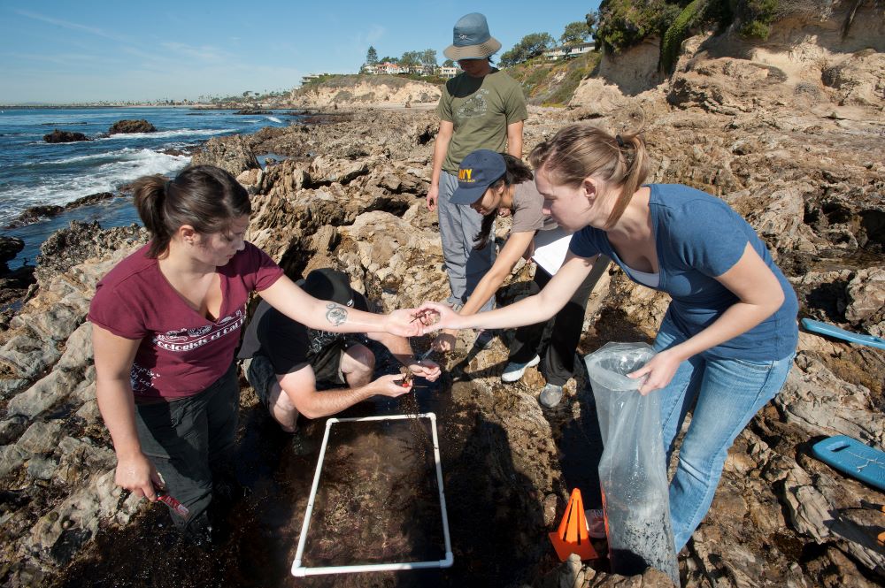students in Archaeology class