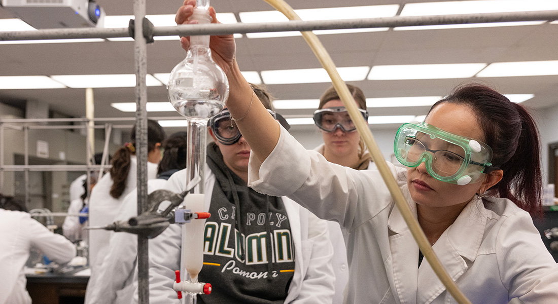 Students work in the organic chemistry lab