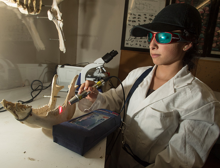 Female students looks through a microscope