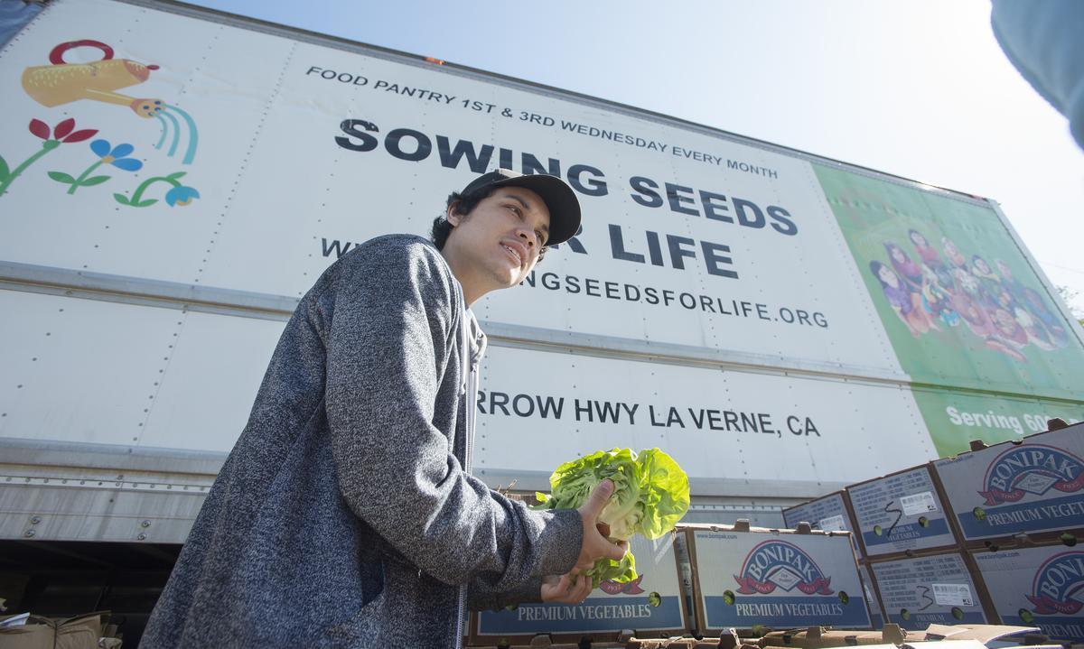 Male student volunteers with Sowing Seeds for Life