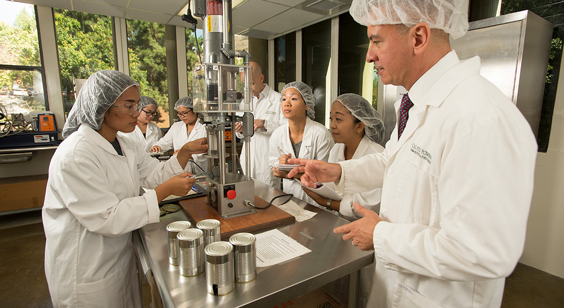 Food nutrition course testing food samples