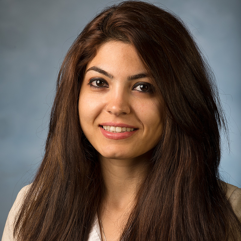 Shokoufeh Mirzaei