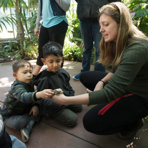 Children looking at a Crested Gecko while on a Bio Trek tour