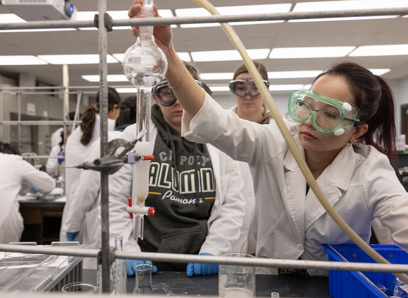 students conducting a chemistry experiment