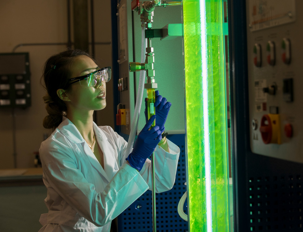student inspecting biology equipment