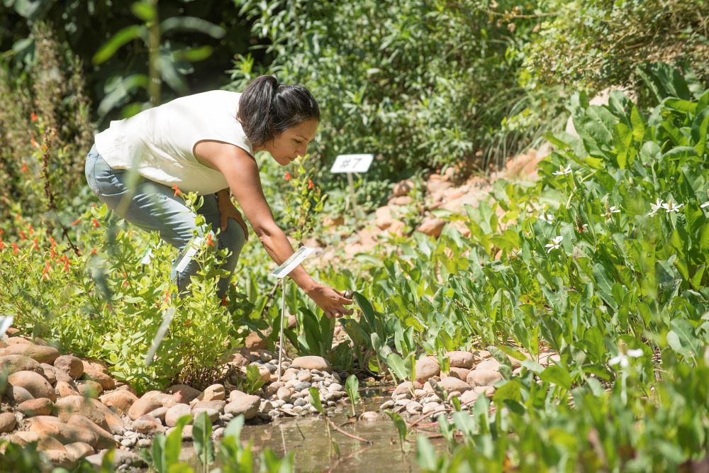 Instructor Rachel Sanchez takes a sample rock from the Project Blue stream.