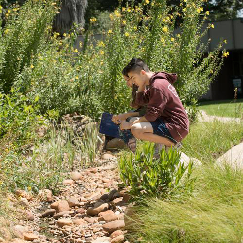 Two students observing the Project Blue Stream