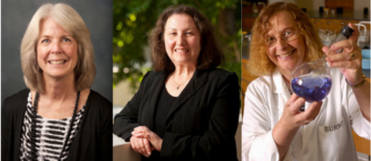 2010-2011 Awardees Tina Hartney, Elise Wirtschafter, and Barbara Burke