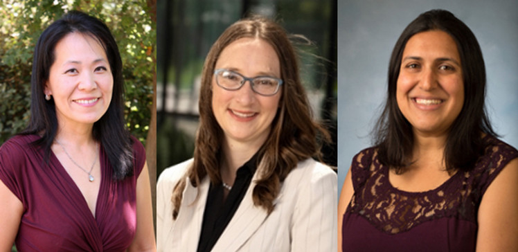 2020-2021 Awardees Joanne Sohn, Chantal E. Stieber, and Seema Shah-Fairbank