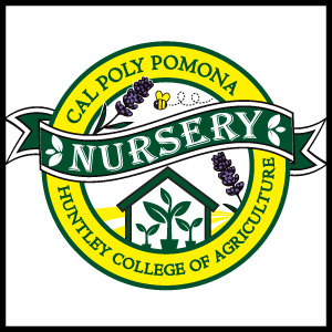 nursery logo