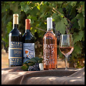 Wine bottles and wine glass perched on a table in a vineyard.