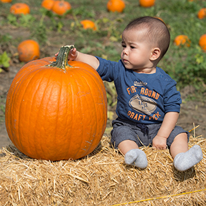 A baby sits next to a pumpkin that is just as big as he is.