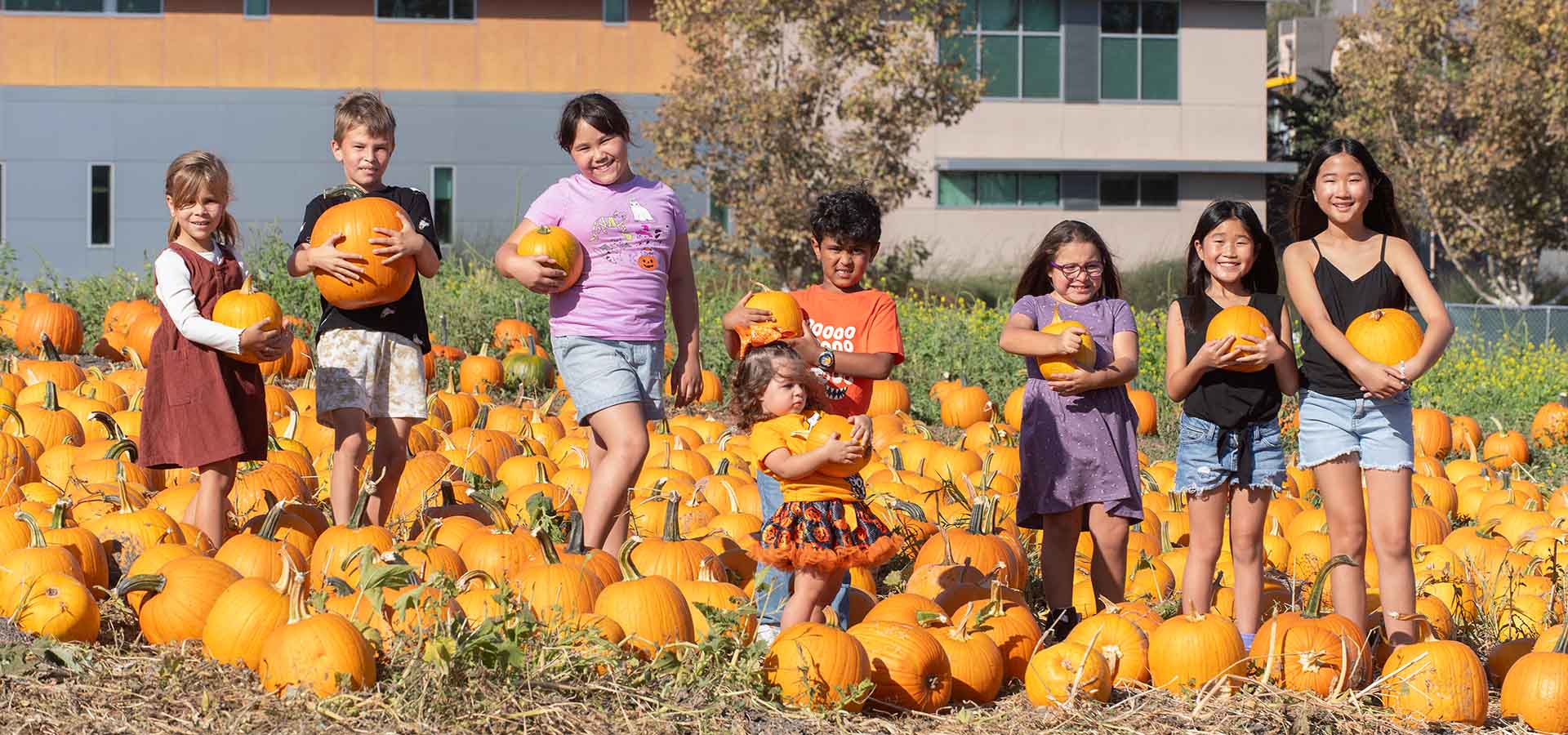 Photo showing children in the pumpkin patch