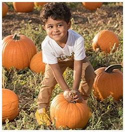 boy holding pumpkin in a patch
