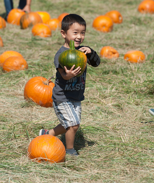 boy holding a pumpkin