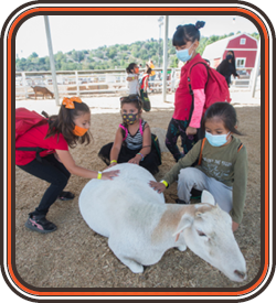 children petting a goat in the petting zoo
