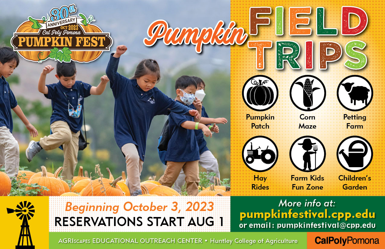 pumpkin festival field trip postcard
