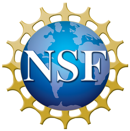 Logo of NSF