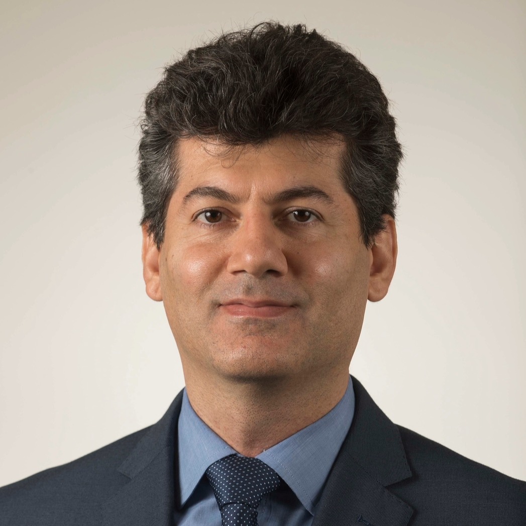 picture of professor ellips masehian