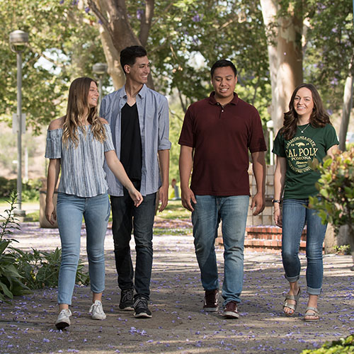 Students walking