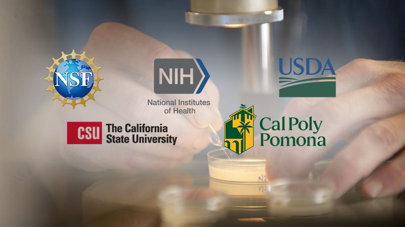 Woman injecting into a tube on a horse