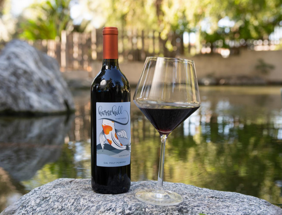 Wine bottle and half-full wine glass sitting on a rock outside.