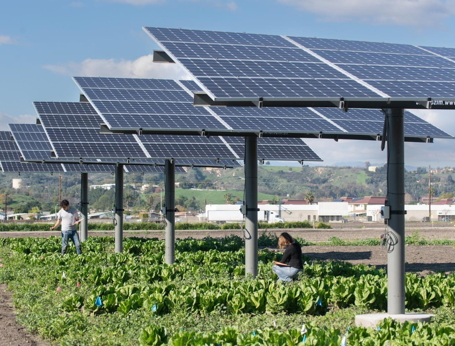 Spadra farm field with solar panels and two people examining them.