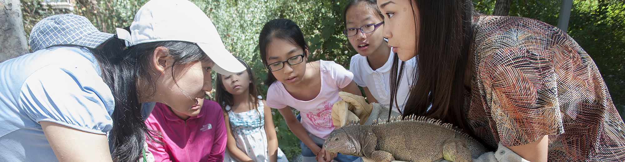 Children's tour of the CPP Rainforest with docent displaying an Iguana