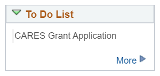 Screenshot of Cares Grant Application in BroncoDirect