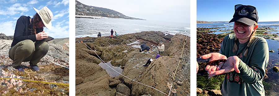 students studying sea life at tide pools